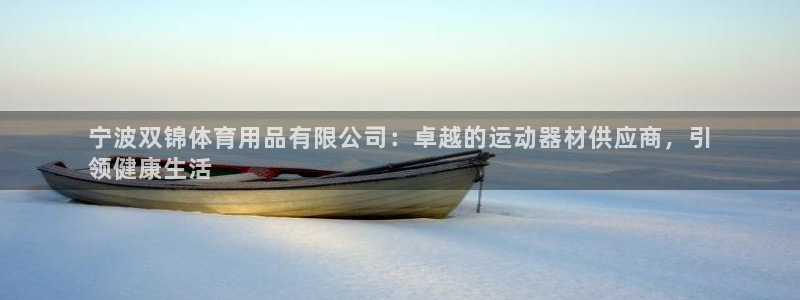 欧陆娱乐平台登录不上：宁波双锦体育用品有限公司：卓越