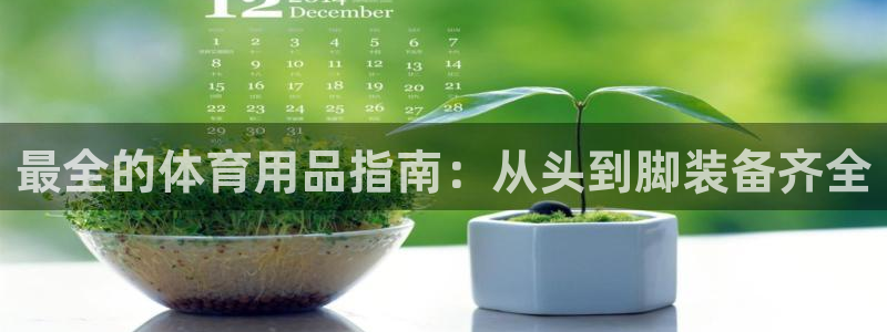欧陆娱乐官网入口下载：最全的体育用品指南：从头到脚装