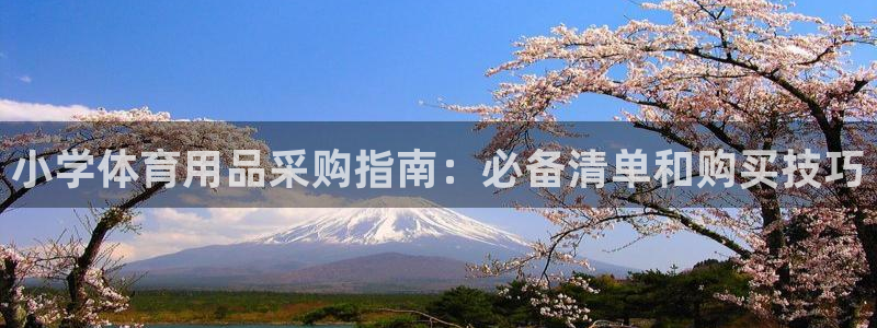 欧陆娱乐会员：小学体育用品采购指南：必备清单和购买技