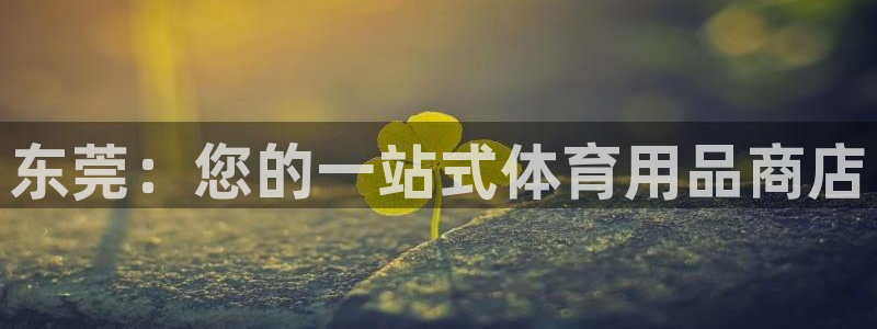 欧陆娱乐平台登陆地址在哪里：东莞：您的一站式体育用品
