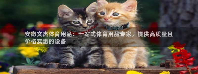 欧陆娱乐注册链接安全吗是真的吗：安徽文杰体育用品：一