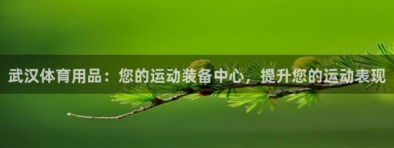 欧陆娱乐平台登录：武汉体育用品：您的运动装备中心，提