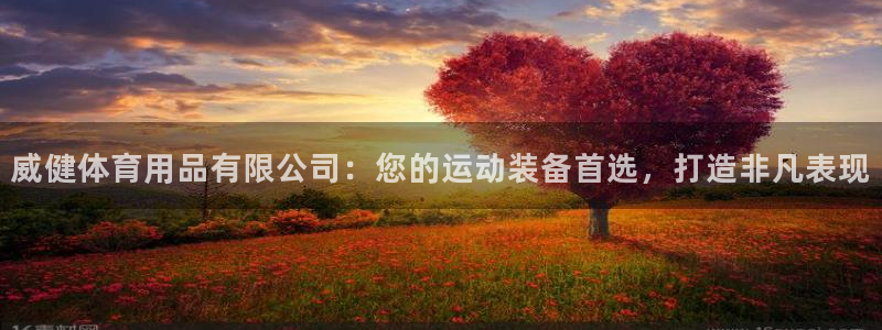 欧陆娱乐分分彩：威健体育用品有限公司：您的运动装备首