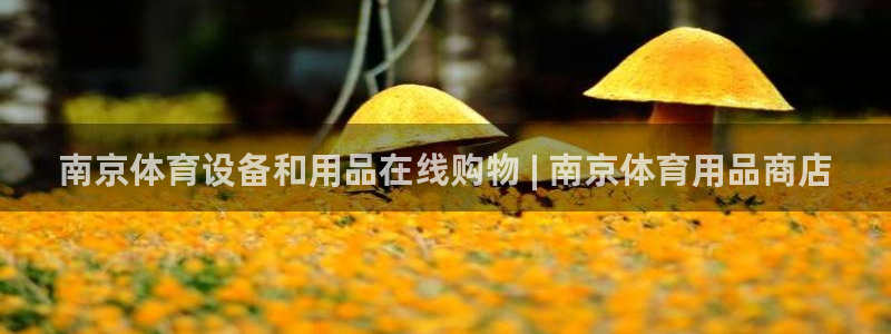 欧陆娱乐注册链接怎么弄的：南京体育设备和用品在线购物