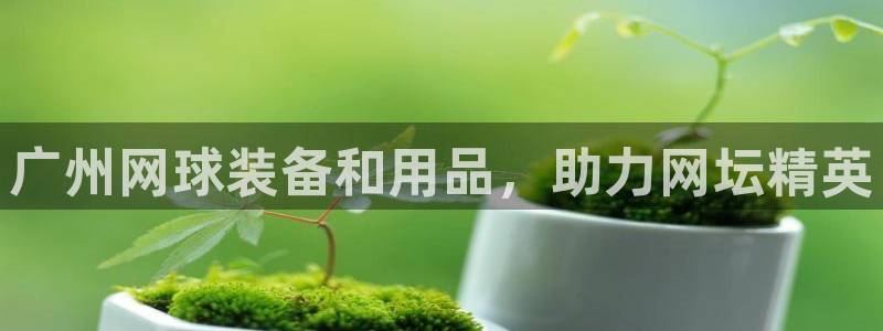 欧陆娱乐登录注册平台：广州网球装备和用品，助力网坛精