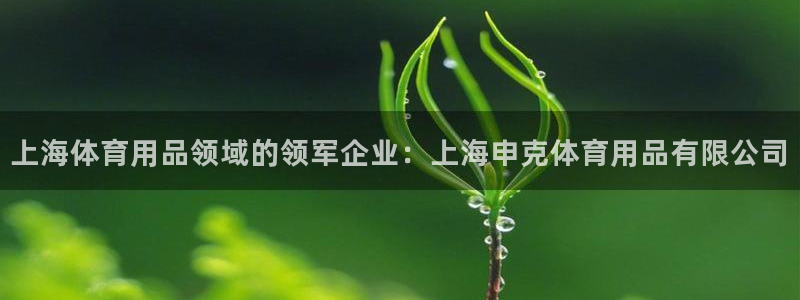 欧陆官方网站：上海体育用品领域的领军企业：上海申克体