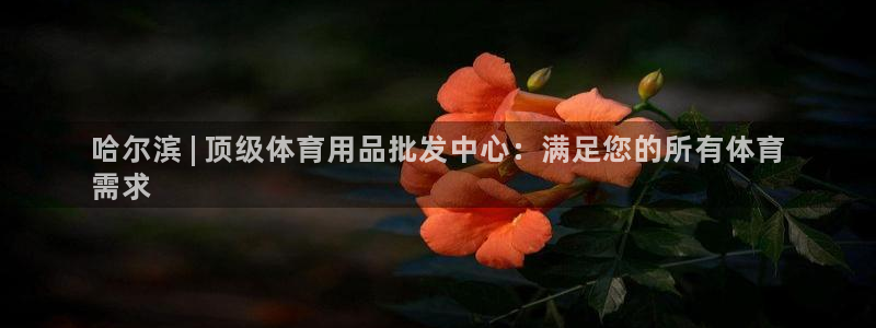 欧陆娱乐平台官网下载：哈尔滨 | 顶级体育用品批发中