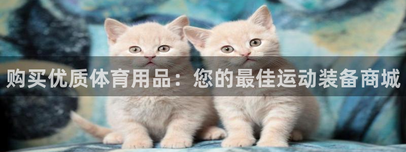 欧陆娱乐登陆官网下载：购买优质体育用品：您的最佳运动