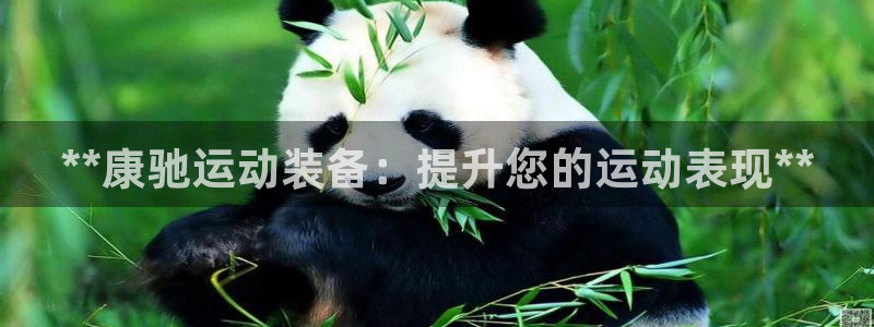 欧陆娱乐平台登陆地址是什么样的：**康驰运动装备：提