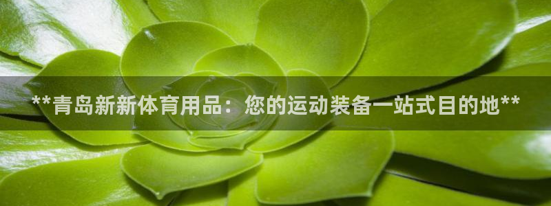 欧陆娱乐官网网址大全：**青岛新新体育用品：您的运动