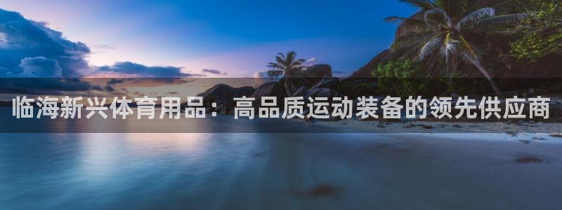 欧陆娱乐挂机怎么玩游戏：临海新兴体育用品：高品质运动