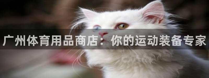 欧陆娱乐平台登录不上：广州体育用品商店：你的运动装备