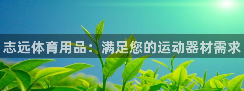 欧陆娱乐能赚钱吗：志远体育用品：满足您的运动器材需求