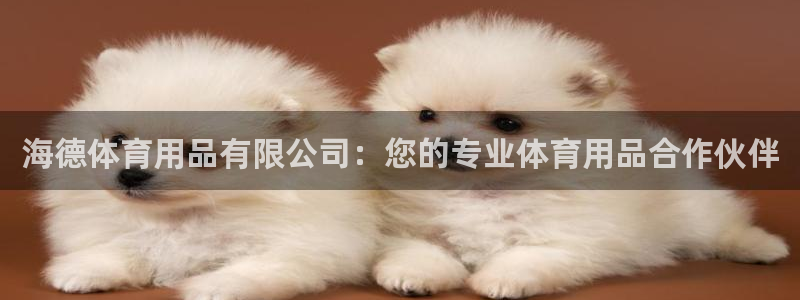 欧陆娱乐登陆平台有哪些：海德体育用品有限公司：您的专