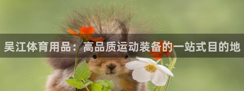 欧陆商城：吴江体育用品：高品质运动装备的一站式目的地