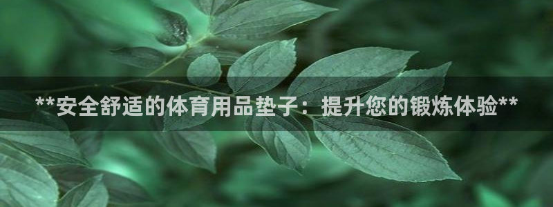 欧陆游戏平台：**安全舒适的体育用品垫子：提升您的锻