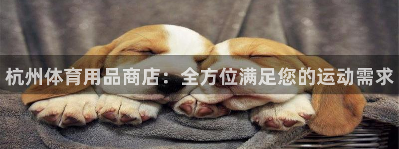 欧陆论坛：杭州体育用品商店：全方位满足您的运动需求