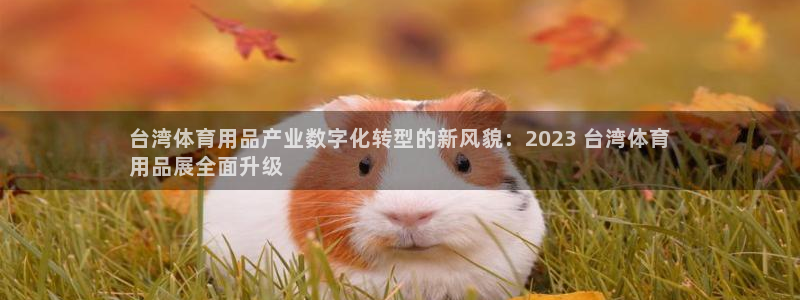 欧陆娱乐公司产品介绍大全：台湾体育用品产业数字化转型