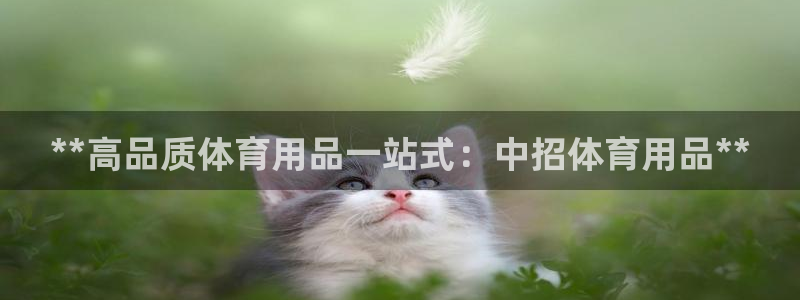 欧陆娱乐有风险吗：**高品质体育用品一站式：中招体育