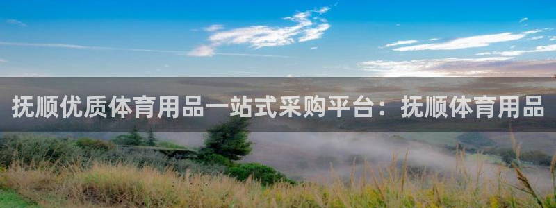 欧陆娱乐有风险吗：抚顺优质体育用品一站式采购平台：抚
