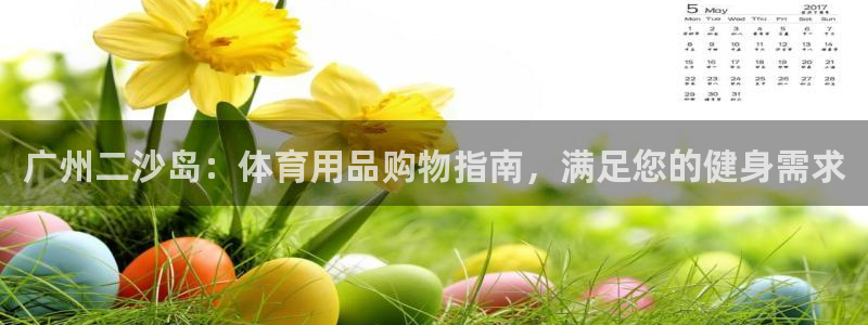 欧陆娱乐登陆平台下载：广州二沙岛：体育用品购物指南，