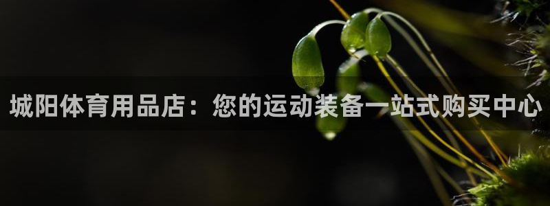 重庆欧陆娱乐有限公司地址：城阳体育用品店：您的运动装