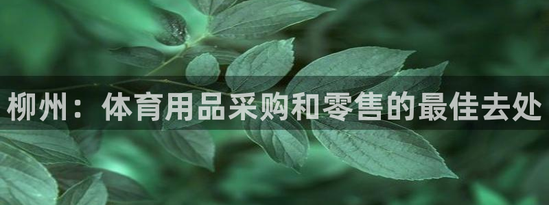 欧陆娱乐总代：柳州：体育用品采购和零售的最佳去处