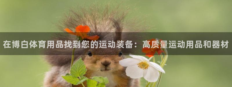 欧陆娱乐是真的吗：在博白体育用品找到您的运动装备：高