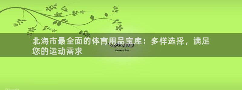欧陆娱乐招商主管：北海市最全面的体育用品宝库：多样选