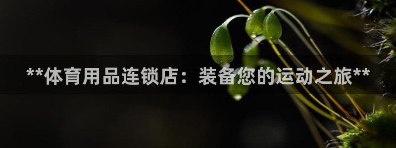 欧陆娱乐不让提现怎么办：**体育用品连锁店：装备您的