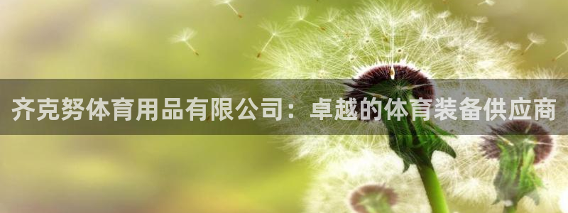 欧陆娱乐计划预测软件哪个好：齐克努体育用品有限公司：
