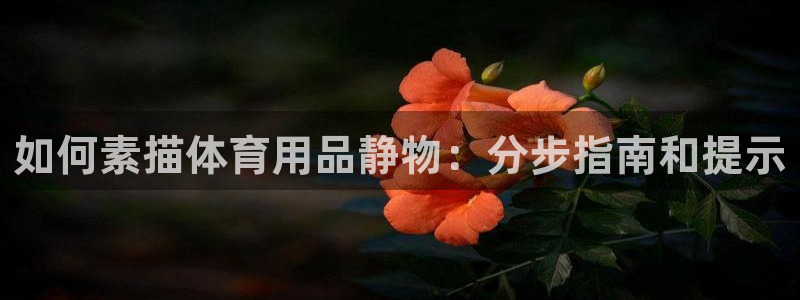 欧陆娱乐测速：如何素描体育用品静物：分步指南和提示
