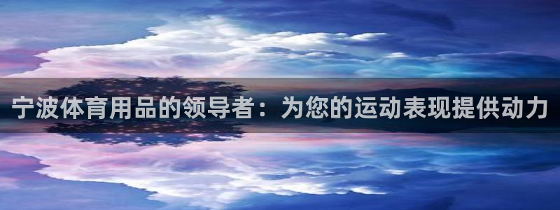 欧陆娱乐能赚钱吗：宁波体育用品的领导者：为您的运动表