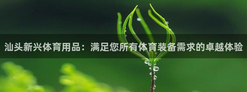 欧陆娱乐会员多少钱：汕头新兴体育用品：满足您所有体育