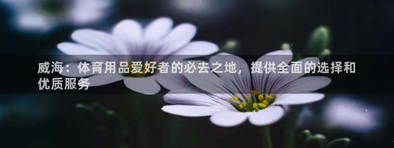 欧陆娱乐登录官网网址：威海：体育用品爱好者的必去之地