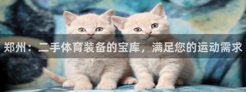 欧陆娱乐平台登陆地址是什么：郑州：二手体育装备的宝库