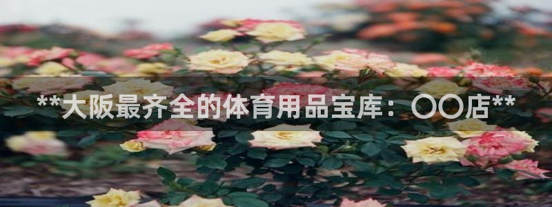 欧陆娱乐平台登录不上怎么回事：**大阪最齐全的体育用