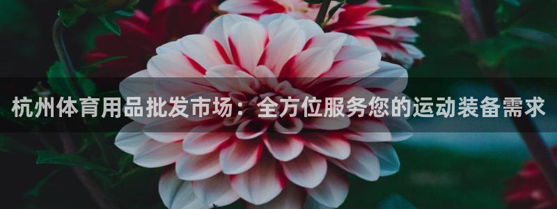欧陆娱乐是那个旗下的品牌：杭州体育用品批发市场：全方
