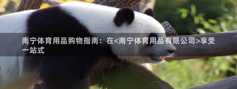 欧陆娱乐出款了吗：南宁体育用品购物指南：在<南宁体育