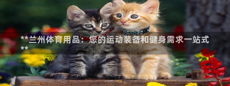 欧陆娱乐有限公司怎么样：**兰州体育用品：您的运动装