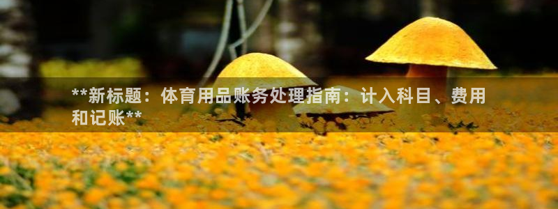 欧陆娱乐欢迎访问：**新标题：体育用品账务处理指南：