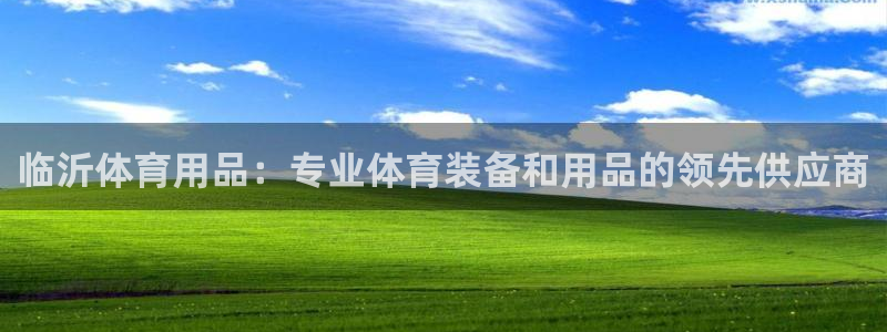 欧陆娱乐代理 贴吧是真的吗：临沂体育用品：专业体育装