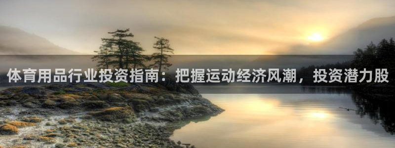 欧陆娱乐测试：体育用品行业投资指南：把握运动经济风潮