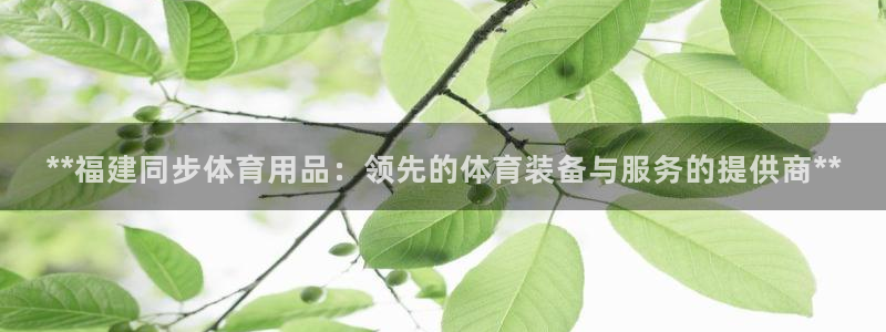 欧陆娱乐怎么注册会员：**福建同步体育用品：领先的体