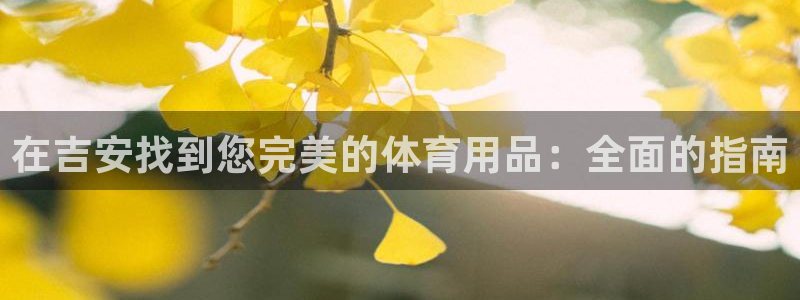 欧陆娱乐计划预测软件下载：在吉安找到您完美的体育用品