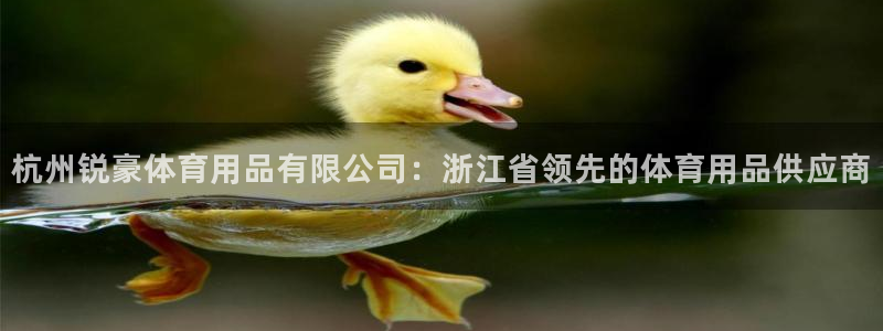 欧陆娱乐官网下载安装：杭州锐豪体育用品有限公司：浙江