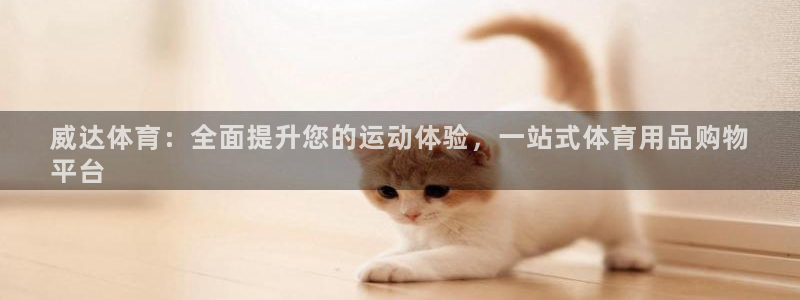 欧陆娱乐官网下载安装：威达体育：全面提升您的运动体验