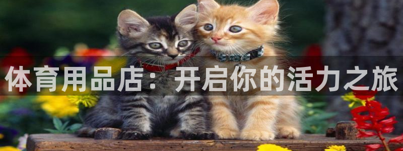 欧陆娱乐微信：体育用品店：开启你的活力之旅