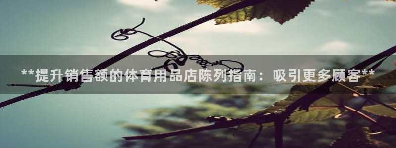 欧陆娱乐平台登陆地址：**提升销售额的体育用品店陈列