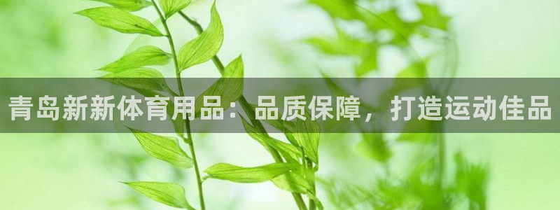 欧陆娱乐有限公司招聘：青岛新新体育用品：品质保障，打